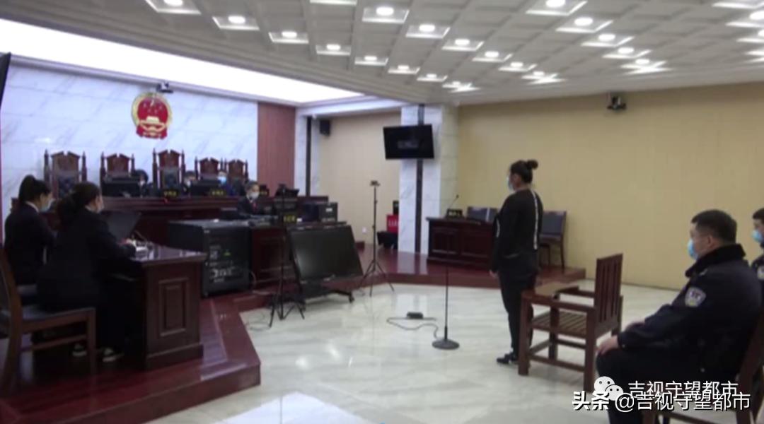 买和尚鹦鹉被判刑,网上卖宠物被判刑