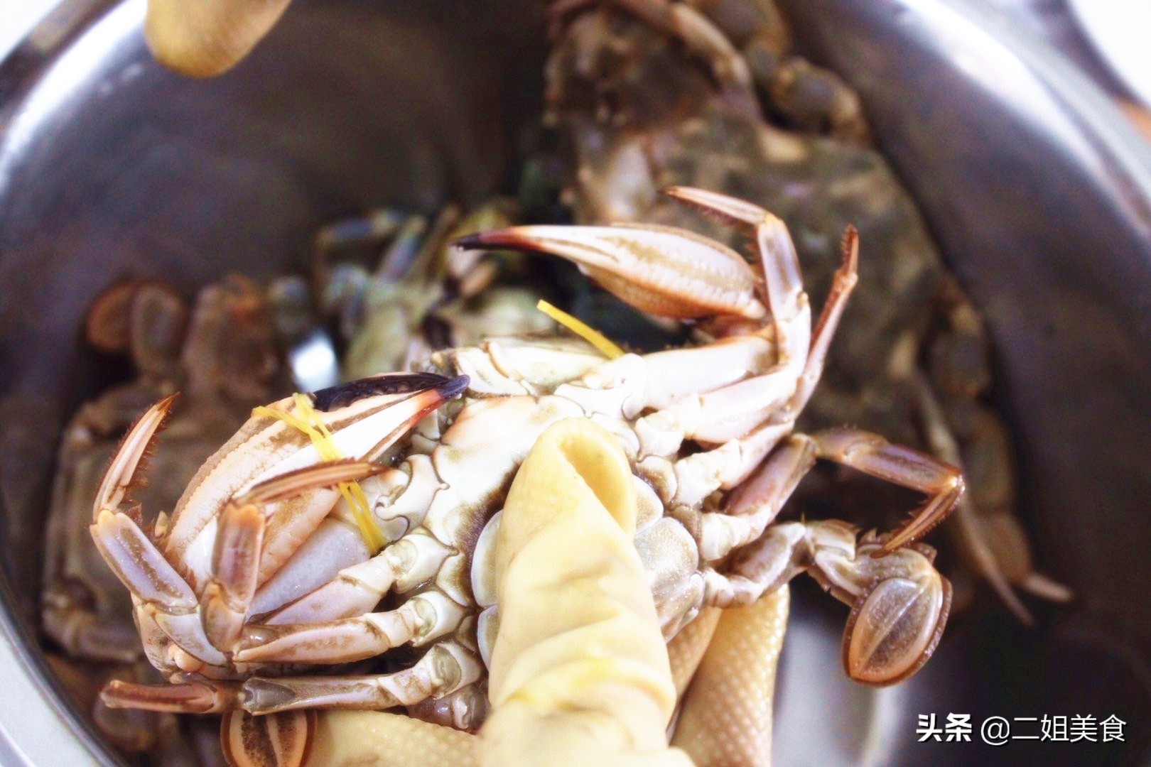 真正挑螃蟹的技巧,教你挑选螃蟹的8个技巧