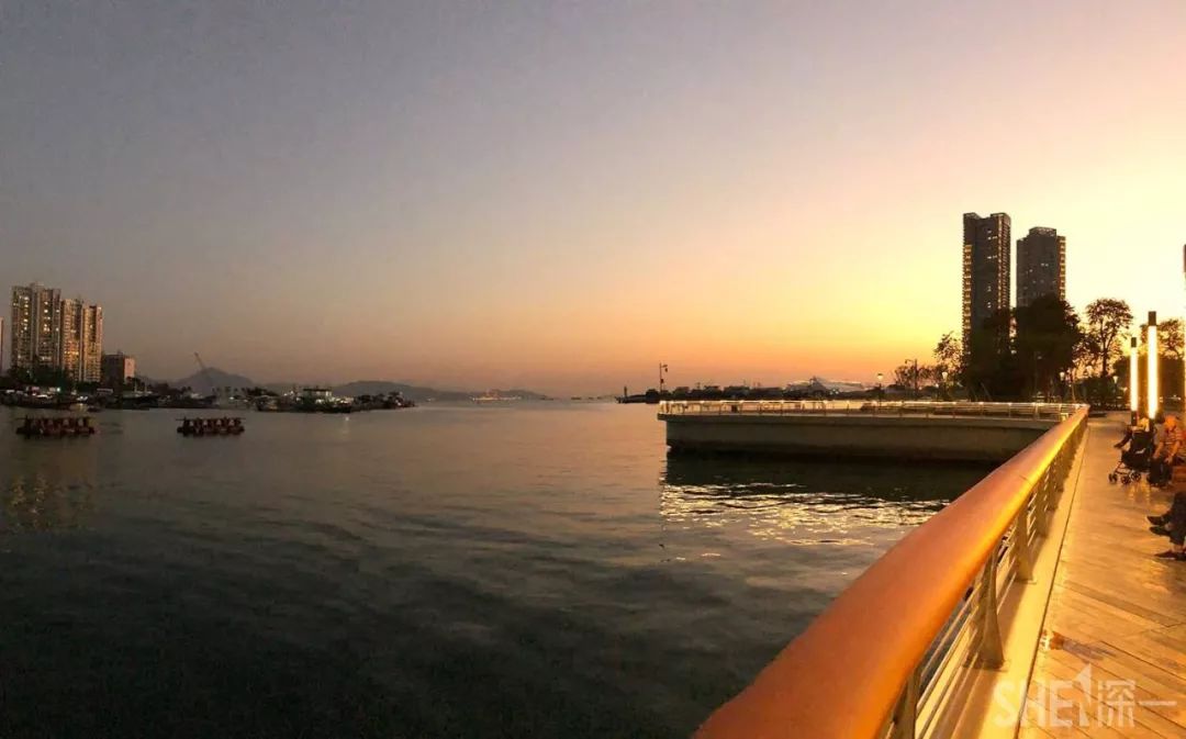 深圳蛇口前世今生,深圳蛇口有怎样的辉煌历史