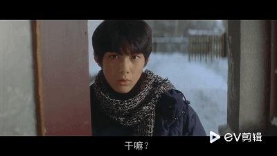 情书柏原崇藤井树解析,藤井树柏原崇是啥意思