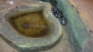 搞笑gif动图笑死人,搞笑gif动图1000张