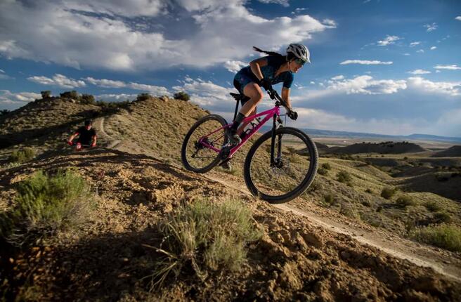 入门级的山地车哪款好,十款性价比高的入门级山地车