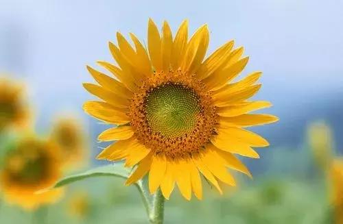 黑龙江17种抗癌药报销,黑龙江医保抗癌药怎么报销