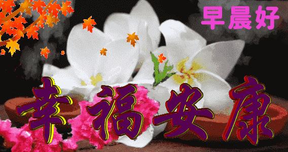 早上好问候语带字动态图片大全,每日问候早上好表情动态图片带字