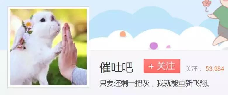 2022最理想职业排行榜,00后最想做的十大职业