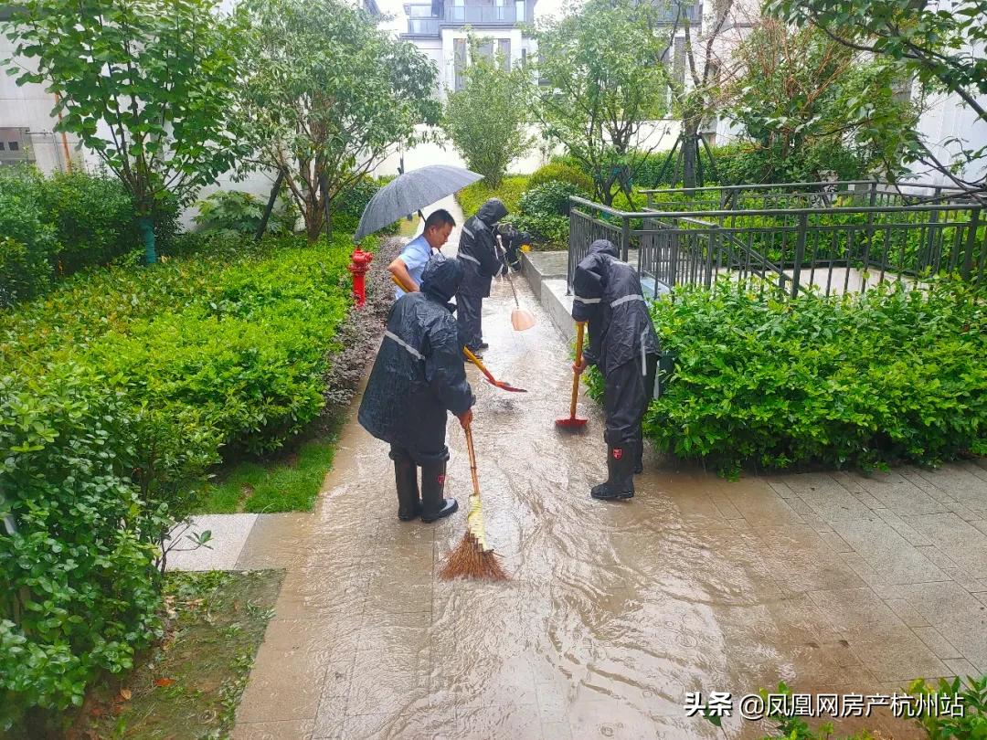 烟花过境商丘,烟花过境安庆