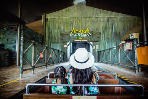 新加坡三个动物园哪个最好,新加坡动物园哪个最值得去看