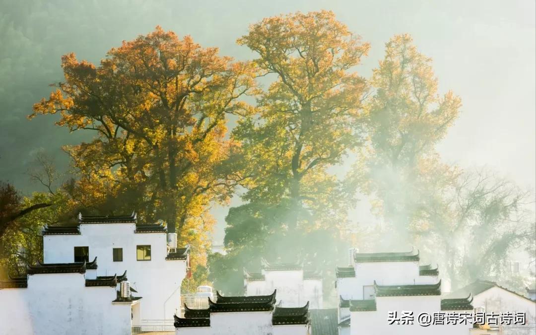 30句令人赏心悦目的古诗词,40句令人惊艳的诗