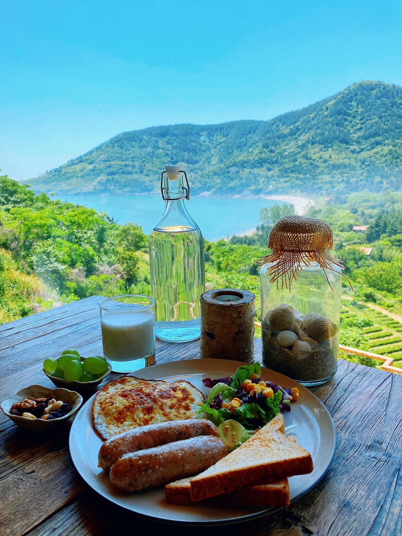 度假的袋鼠,青岛旅行的袋鼠