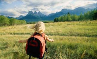 一篇优秀的软文不会缺少这几点,教你写出走心的软文