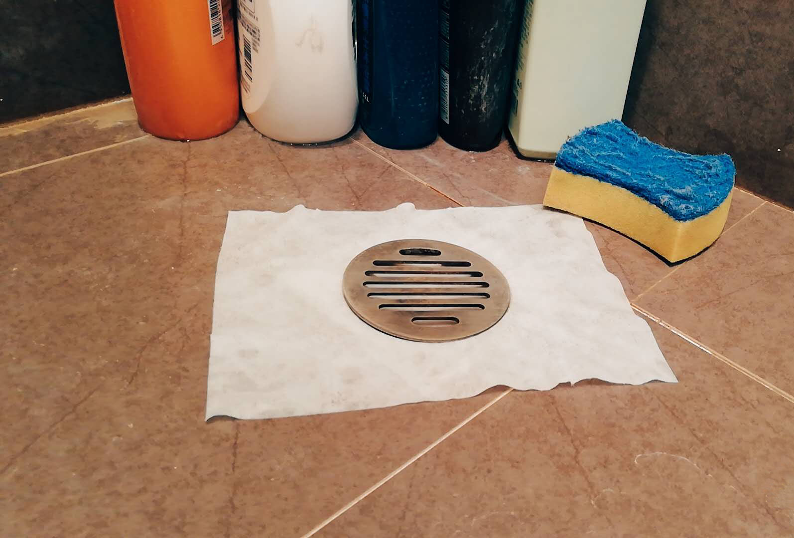 房间如何清理宠物毛发,养宠物家里清洁必备物品