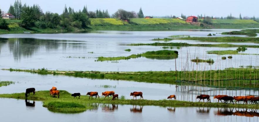 面条大王创业经历,挂面大王真实收入