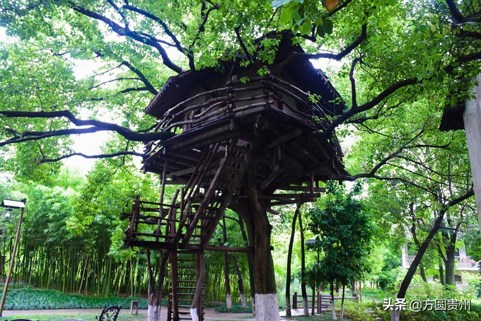 这个夏日，看这个美女如何在浙江乌村的第一百种玩法