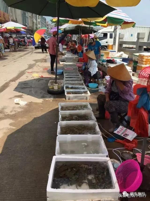 不输青岛,海鲜管饱!天堂滩升级为马代防城港分代