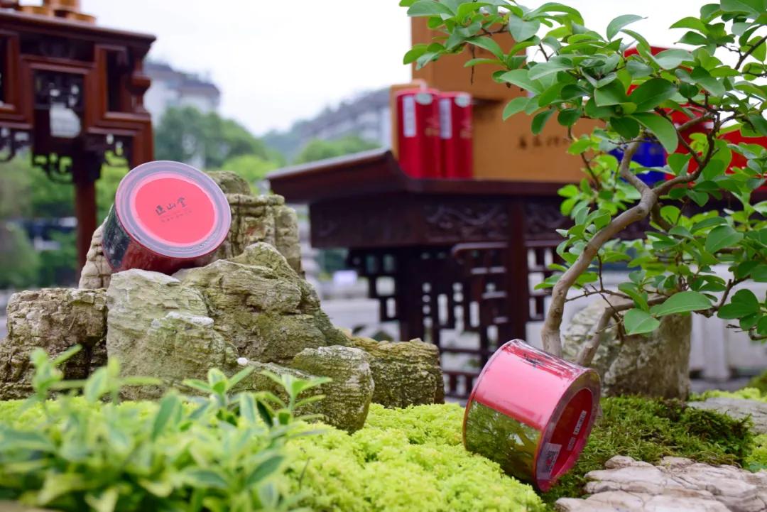 贵阳茶文化盛会,贵州茶博会