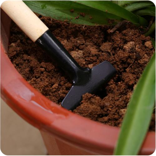 花盆土太硬可以换土吗,花盆土太硬用什么工具疏松