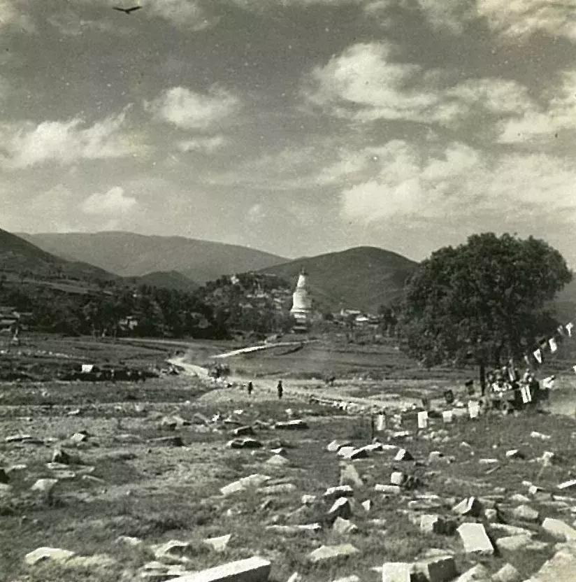 你可能没见过的姓氏,你可能没见过的日语