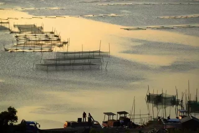 比厦门安静的海滨城市,比厦门安静10倍