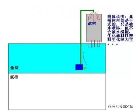 鱼缸各种过滤方式效果排名,细谈各种鱼缸过滤方法