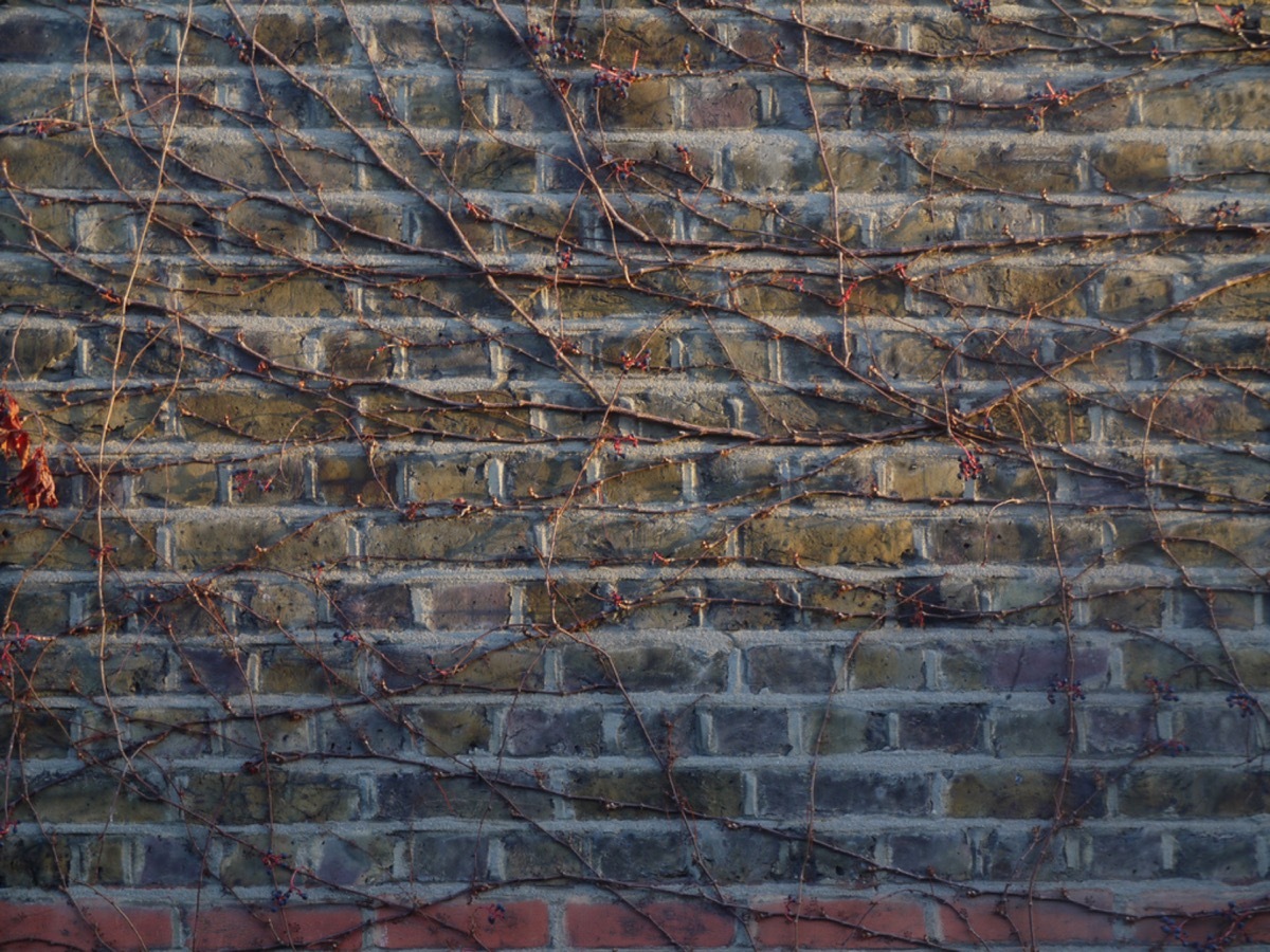 设计师福利模板,设计师必备100件用品