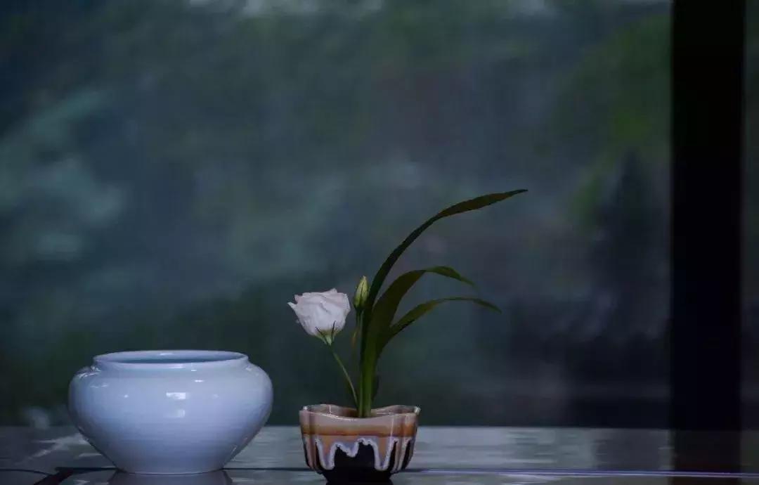 避世隐居生活的民宿,采菊东篱下悠然见南山的民宿