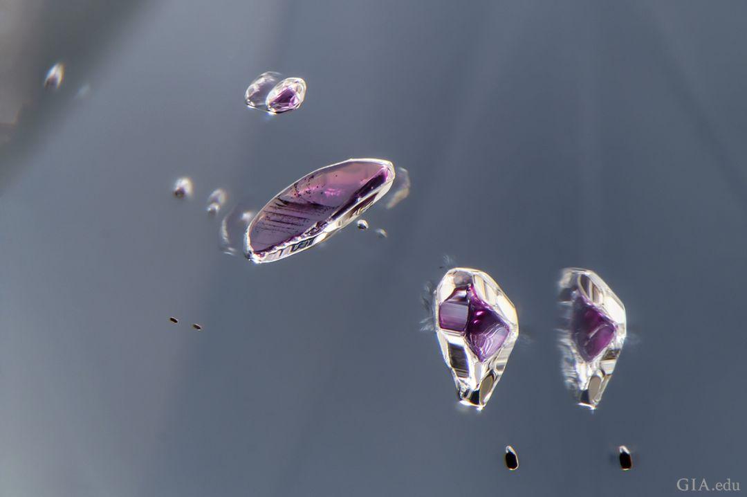 张雨绮最新消息 (张雨绮身价有多少)