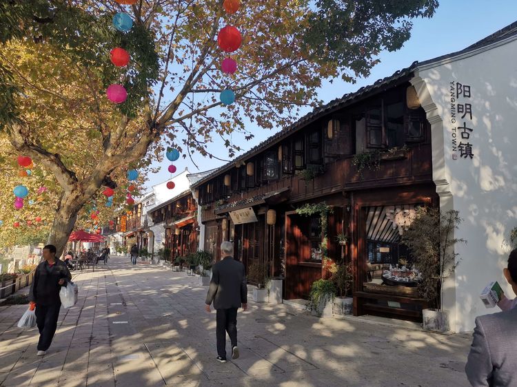 宁波市余姚市阳明古镇,游宁波余姚阳明古镇