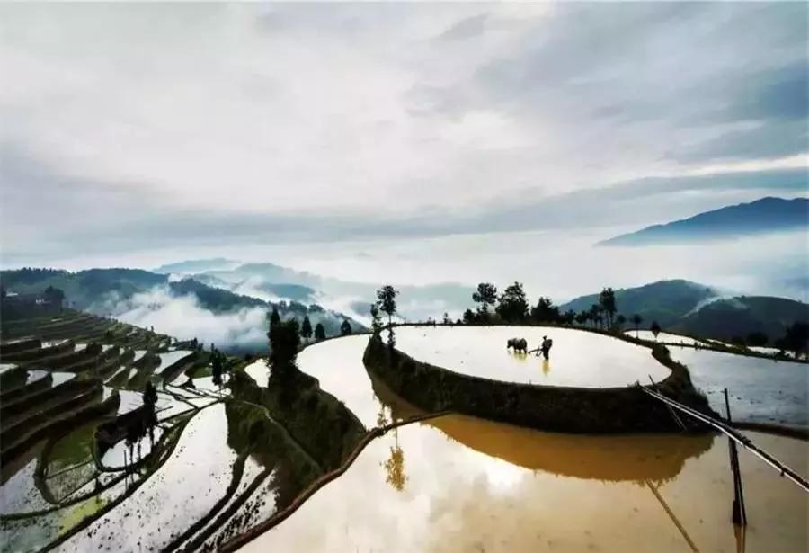 中国山水画摇篮,楠溪江为什么叫山水画摇篮