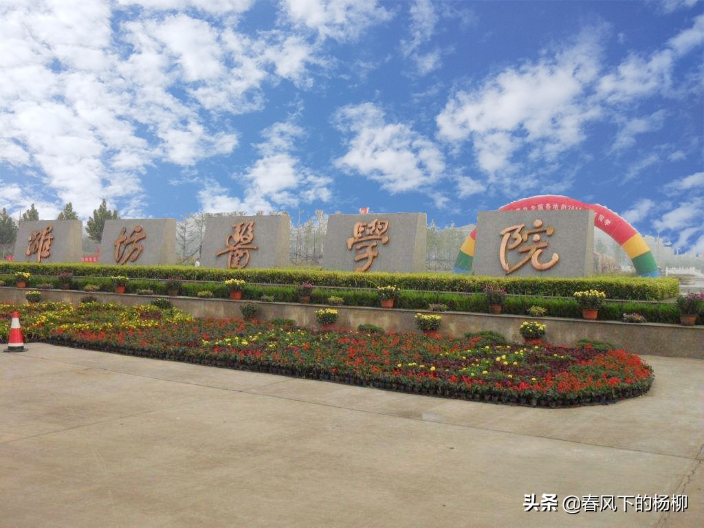 山东第一医科大学最新排名,山东第一医科大学排名最新