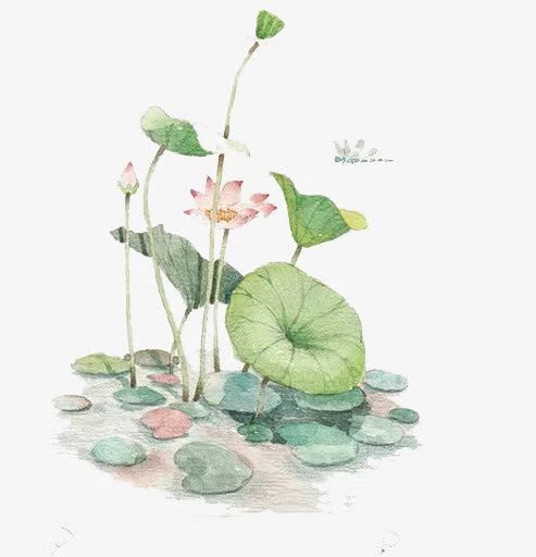 和化学有关的古诗词以及方程式,古诗中的化学原理