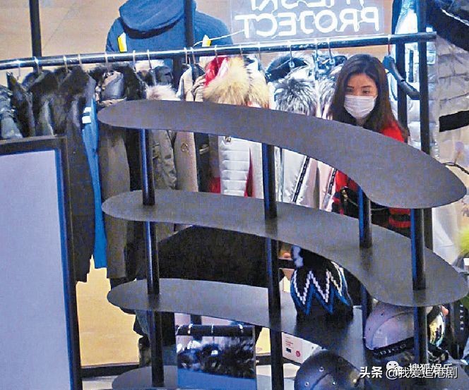 赵薇向男友人索吻,赵薇遭猴子索吻