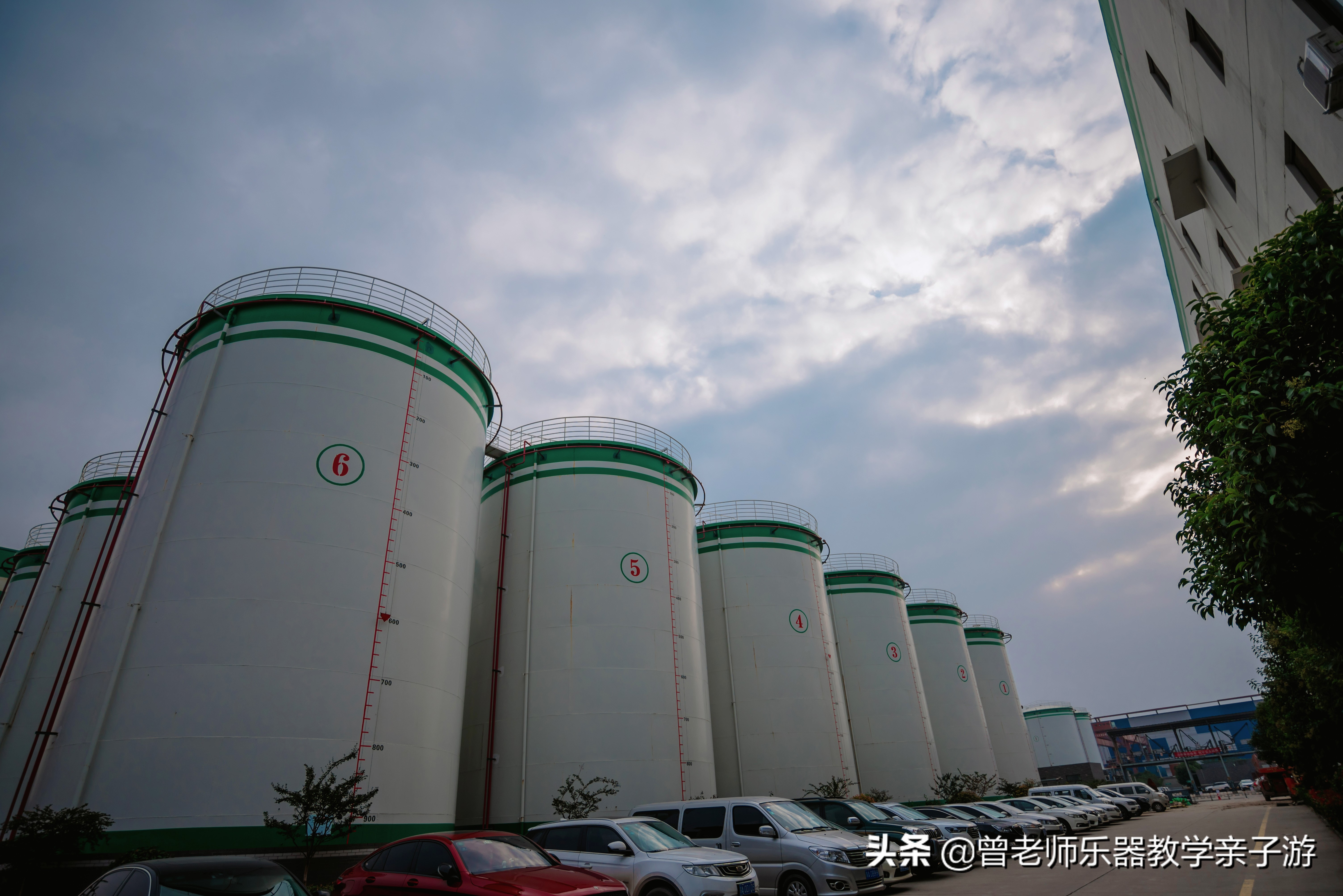 爱菊研学游,爱菊丝路文化菊花园西安