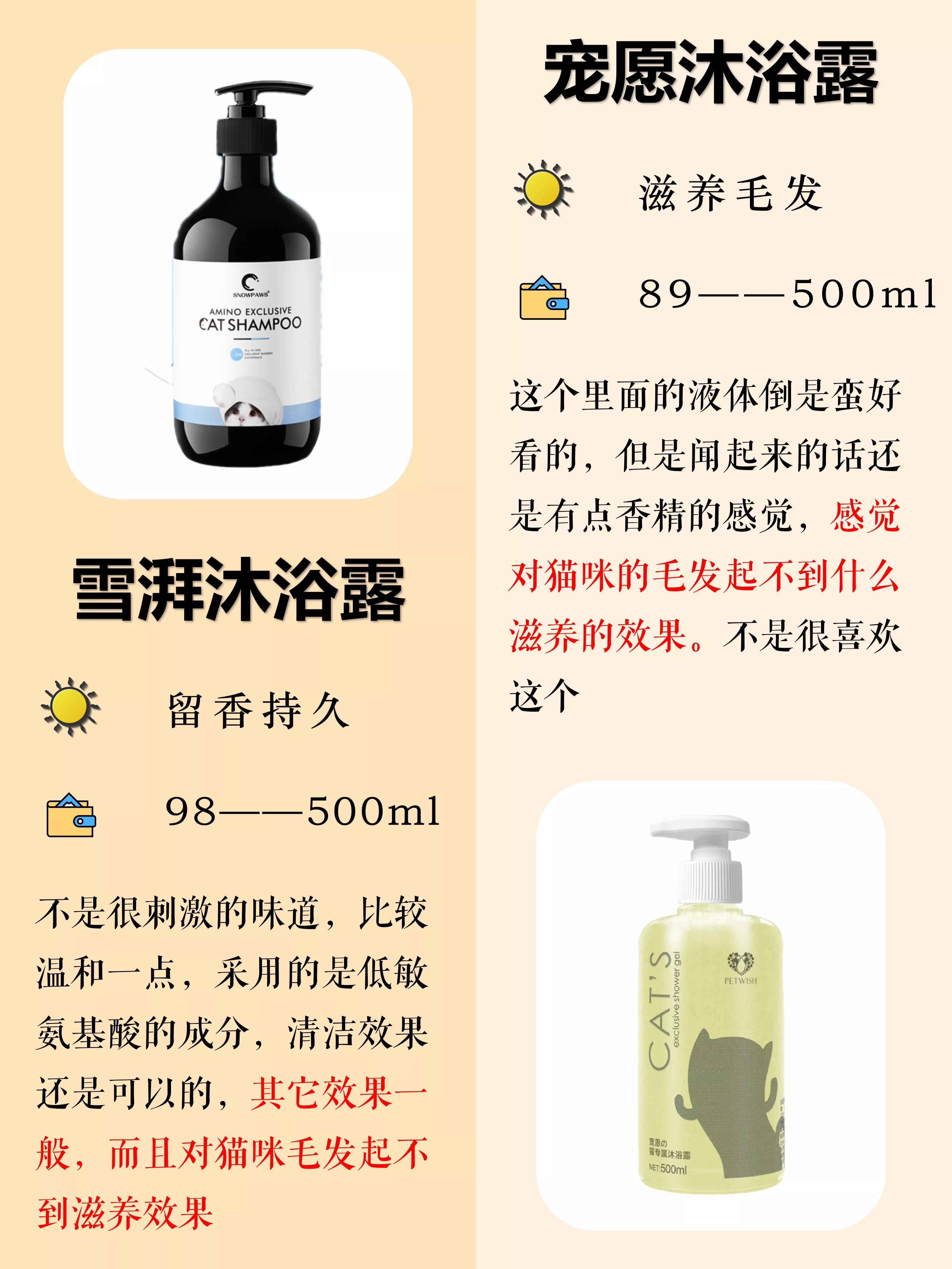 养猫新手给猫咪洗澡需要注意什么,猫咪洗澡攻略如何正确地给猫洗澡