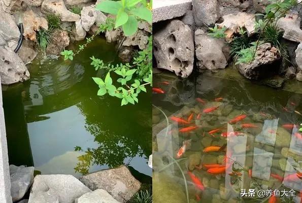 小桥流水制作全过程,小桥流水鱼缸造景技巧