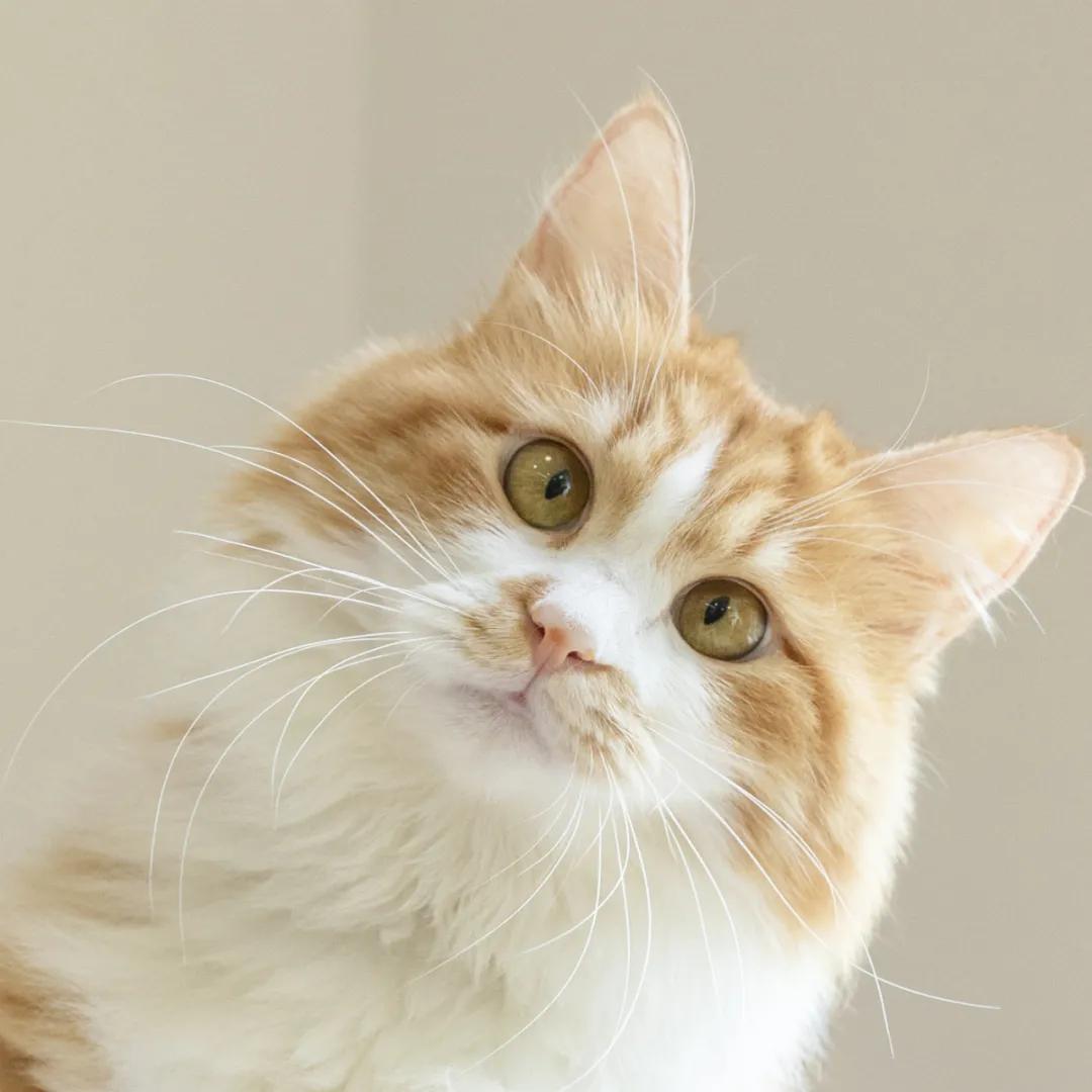 证件过期手机银行怎么处理,银行预留证件信息过期