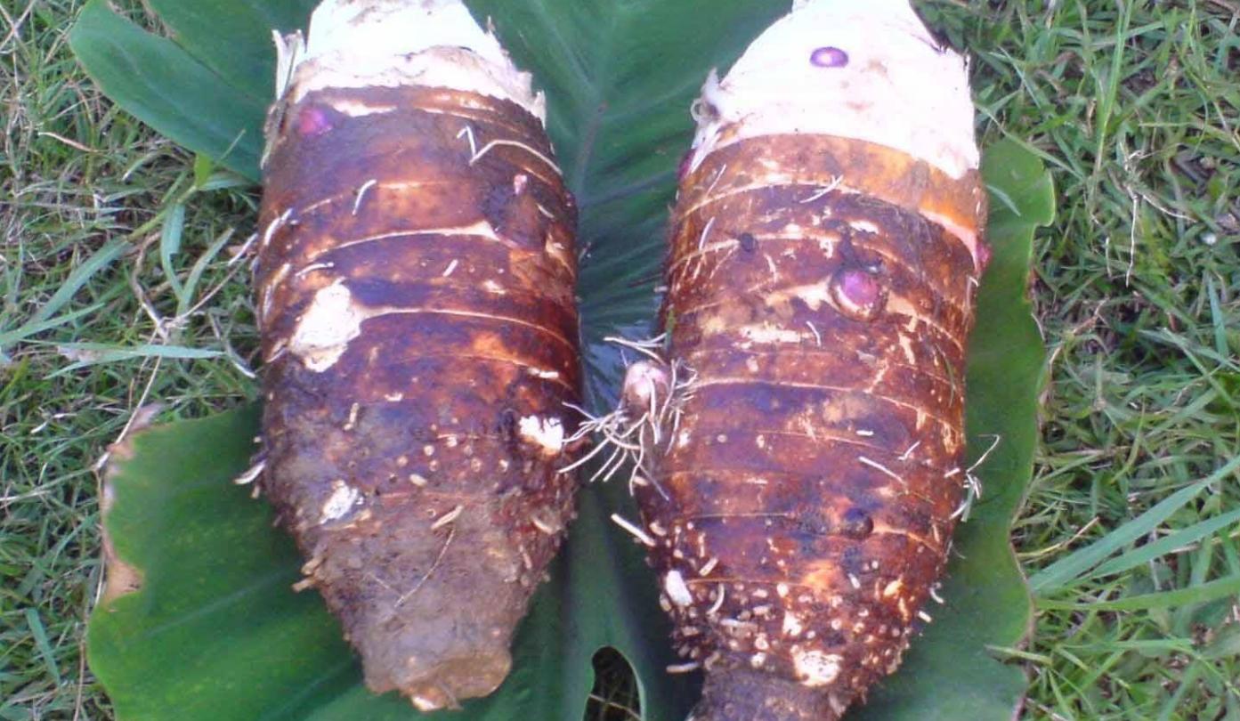 香芋最简单的家庭做法,香芋最好吃的七种做法