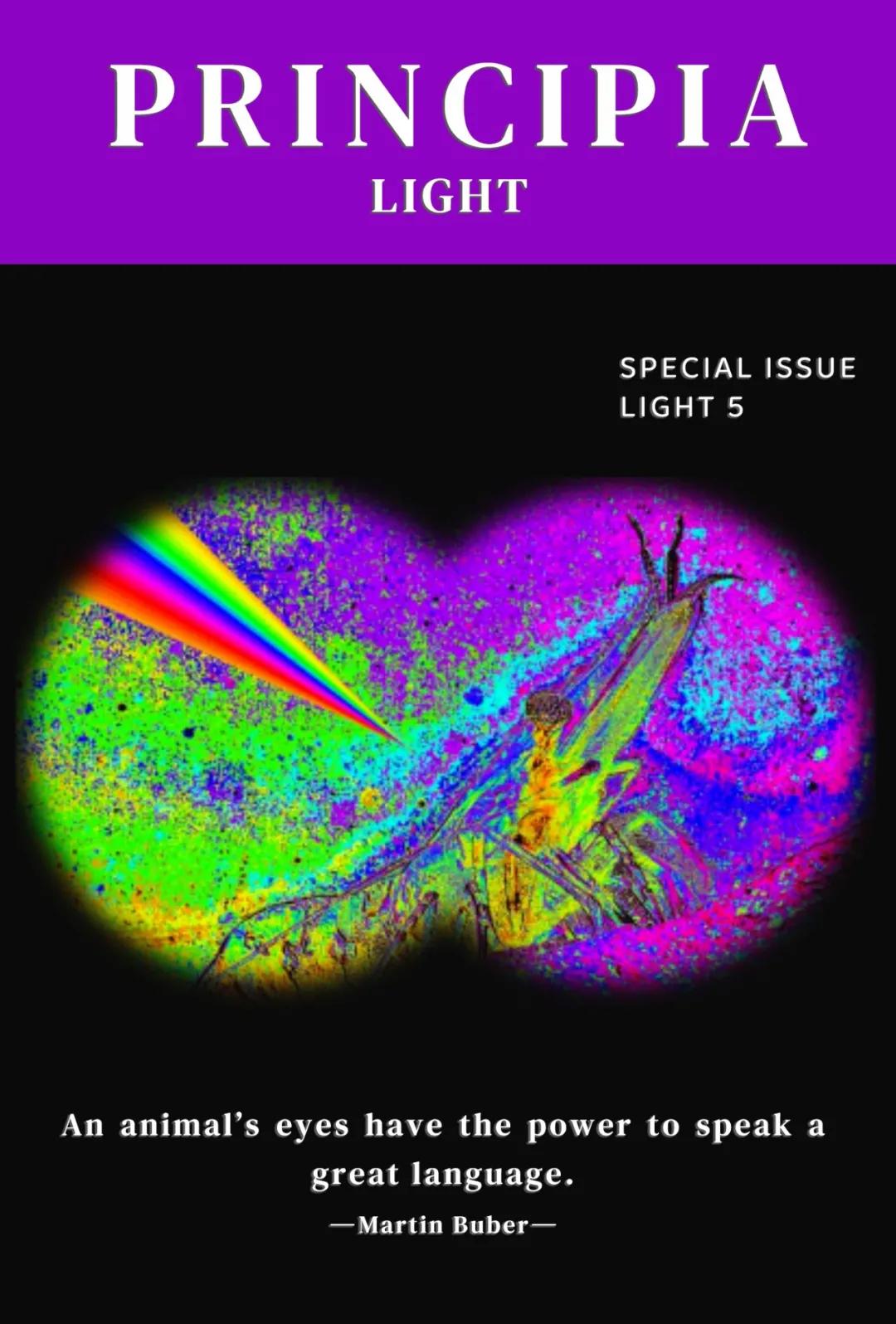 视觉软件exe,视觉模拟器