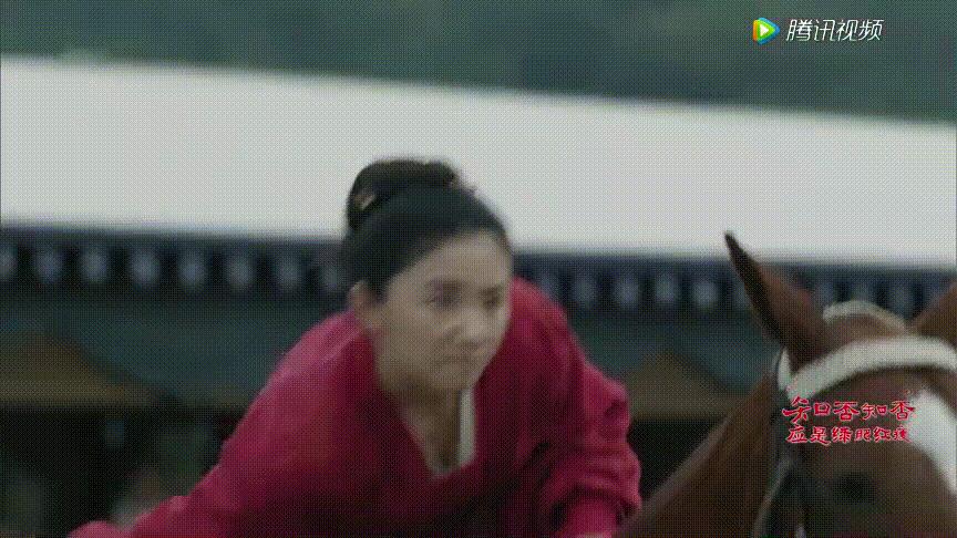 从知否到清平乐大宋还有什么宝藏,60幅宋代工笔花鸟画图文