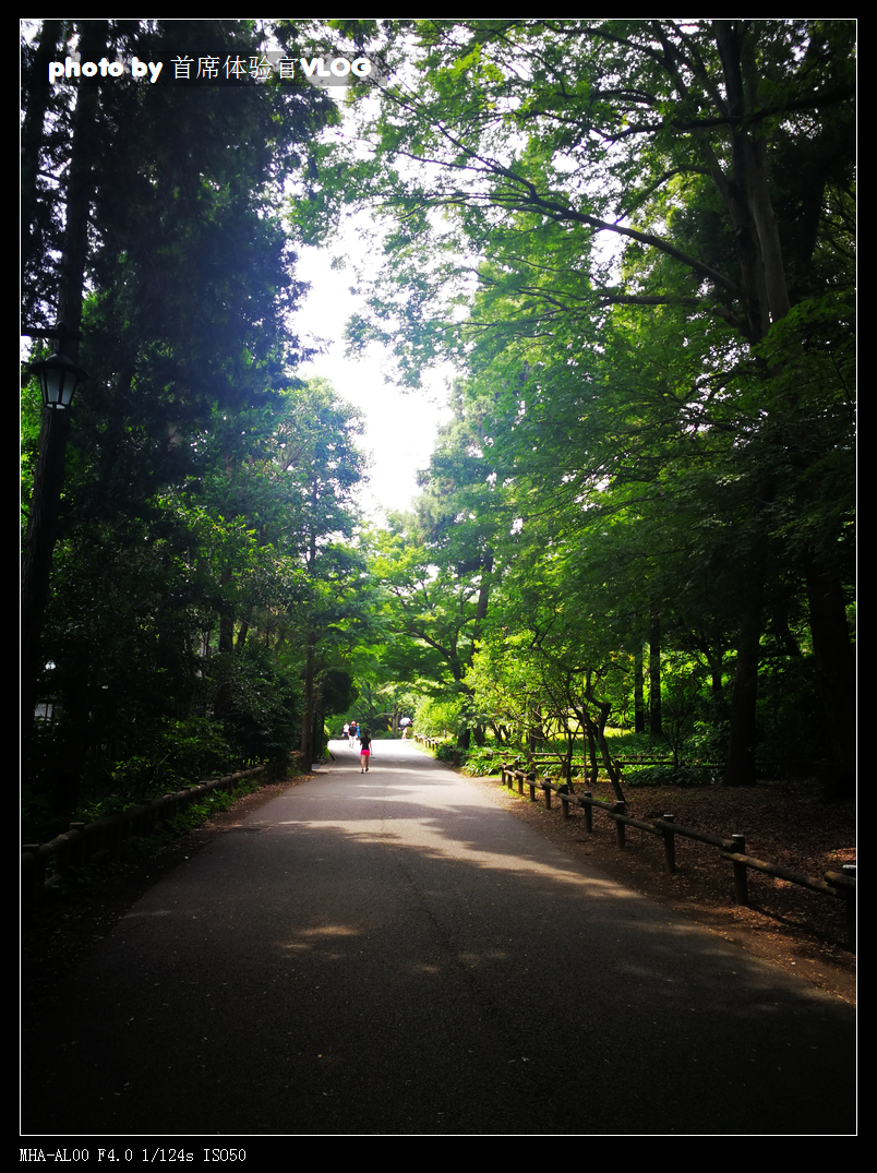 三鹰之森吉卜力美术馆攻略,三鹰之森吉卜力美术馆需要逛多久