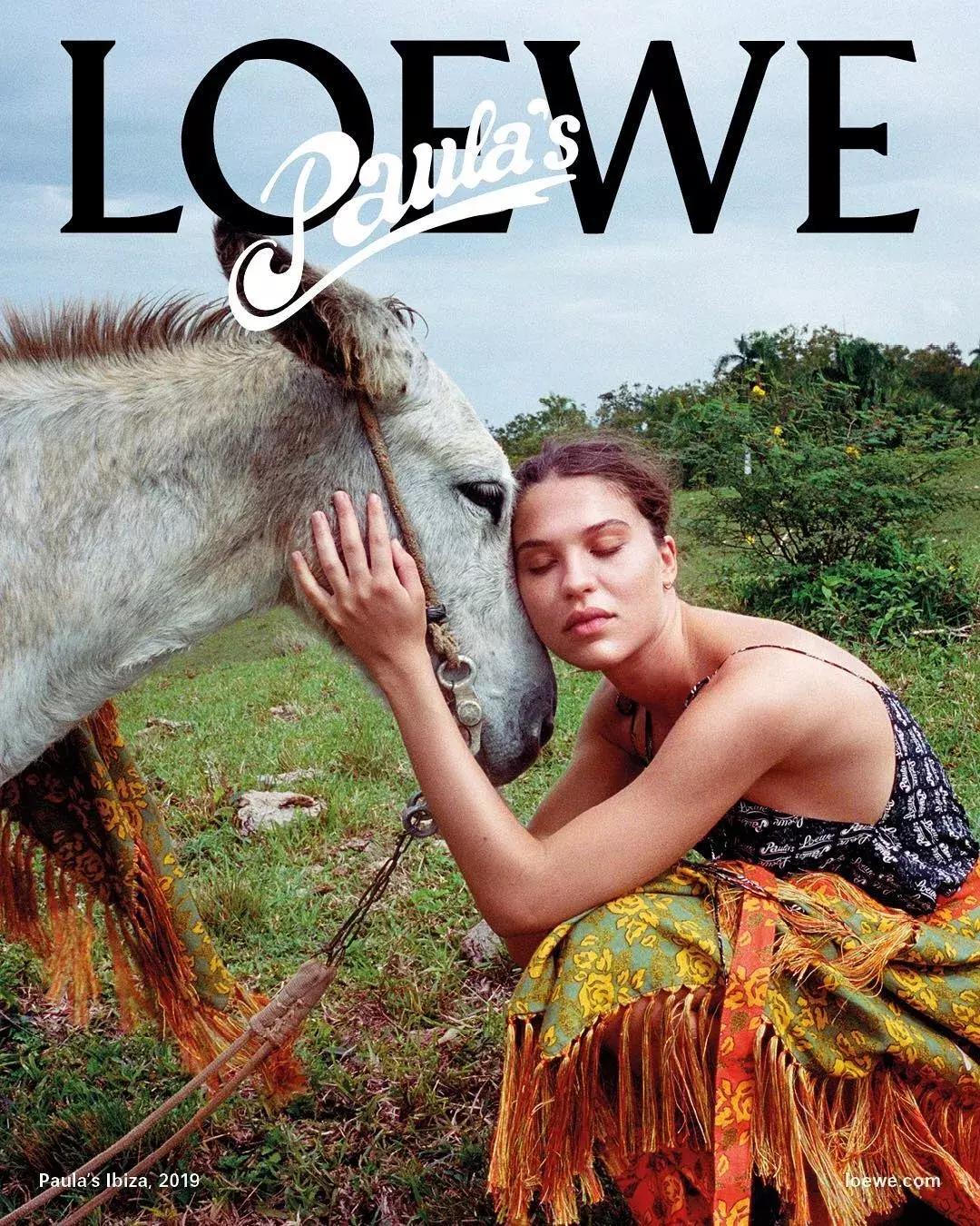 一分钟让你了解品牌,10秒钟让你认识各类实木