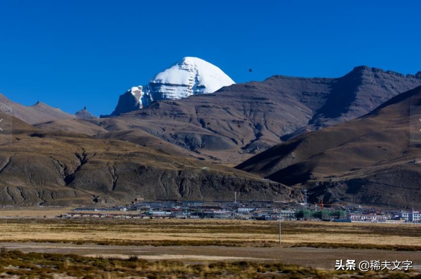我们不远万里前来,跪在你的面前,跪在高高的规则脚下