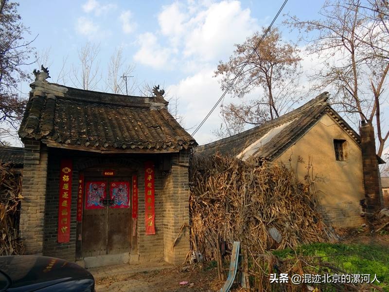 家狗突然不见了啥原因,农村的狗突然不见了是什么原因