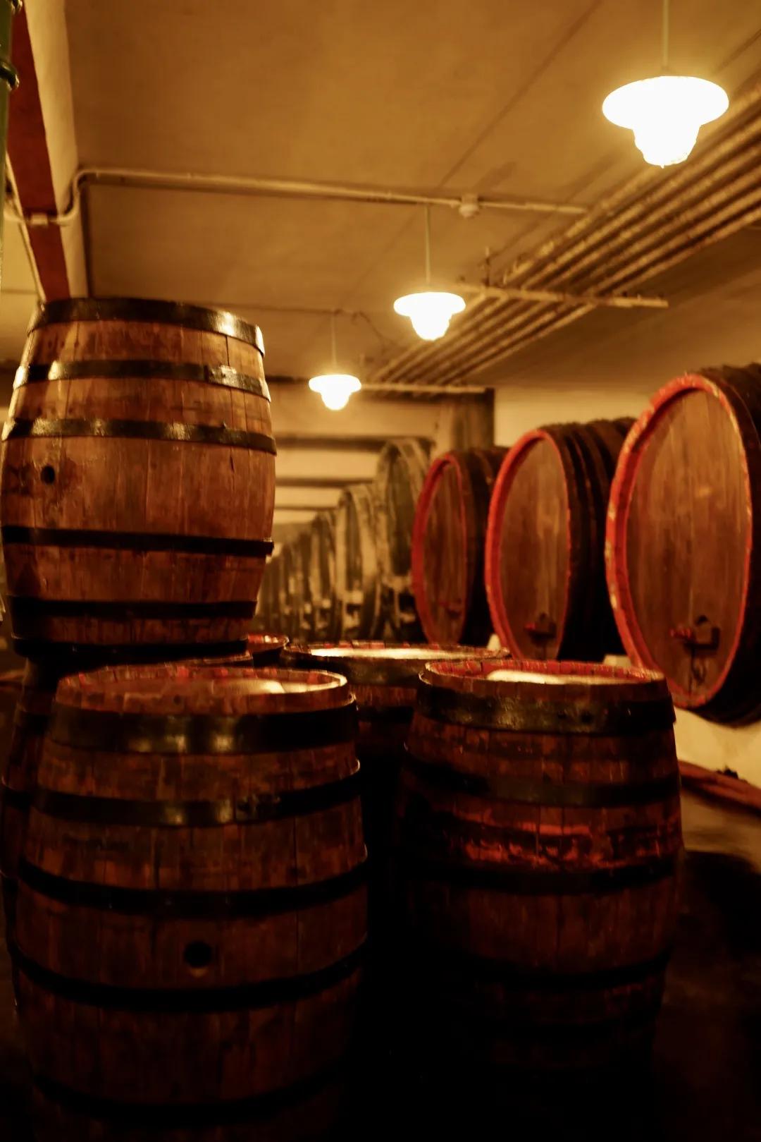 青岛即可以看海还能吃海鲜的地方,去青岛吃好海鲜看大海心情自然好