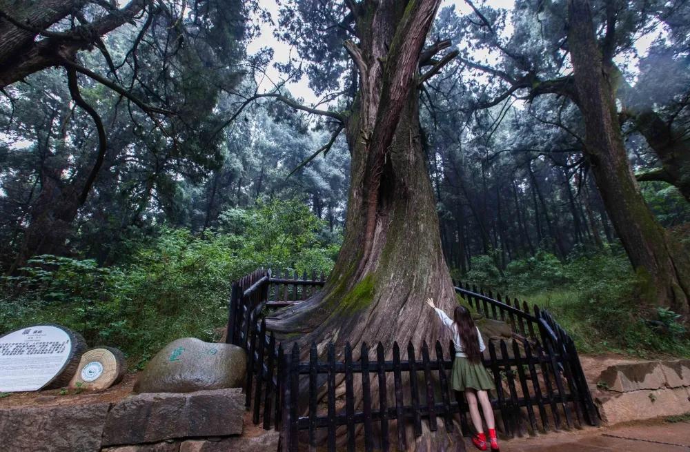 秦始皇张飞,秦始皇冬游