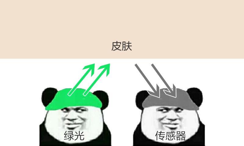 智能测运动心率血压手表十大排名,智能手表测心率步数