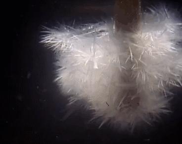 让十岁孩子注意力集中的玩具,2022国外抖音爆火的儿童玩具