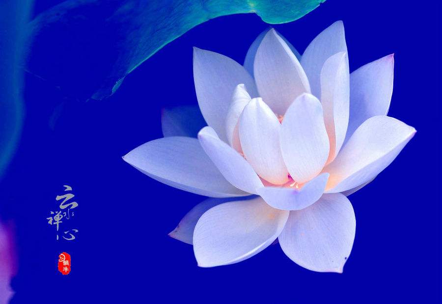 静心养心禅意音乐太极拳,太极拳最优美音乐云水禅心