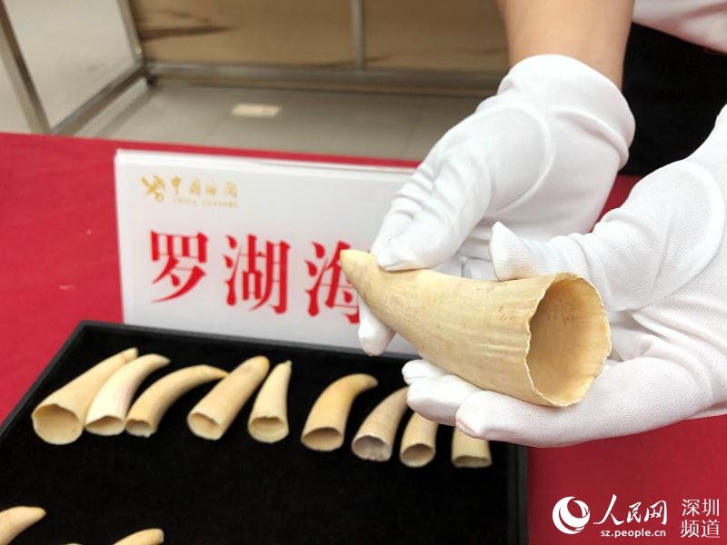 文玩流行的动物制品 (十种野生文玩)