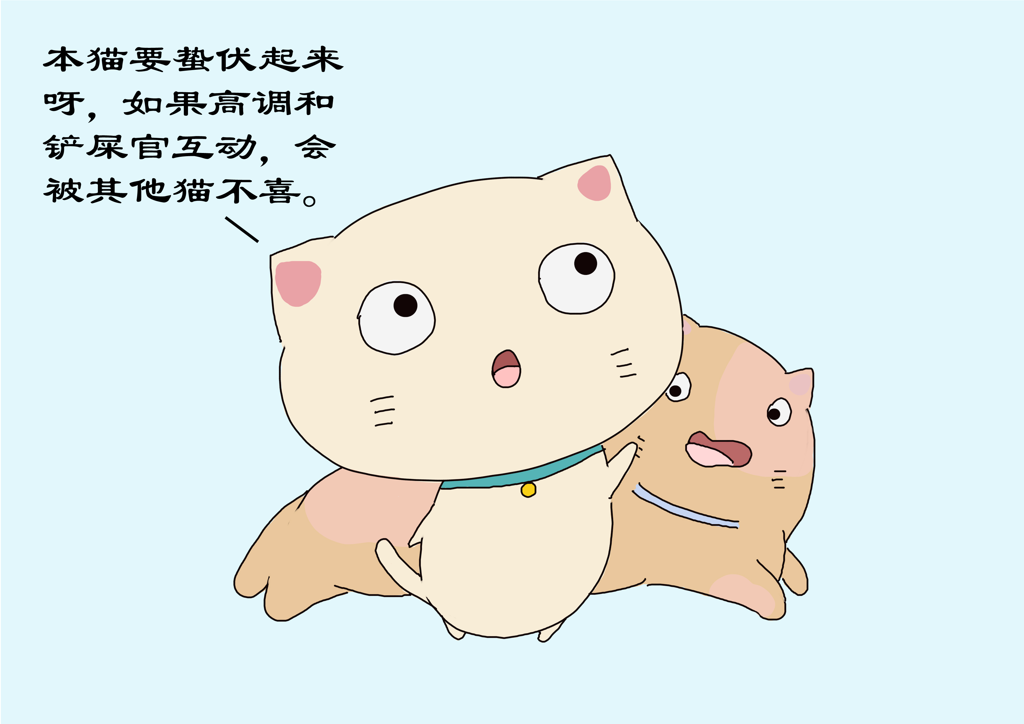 长期养的猫躲起来几天才出来,长时间养的猫为什么不回家了