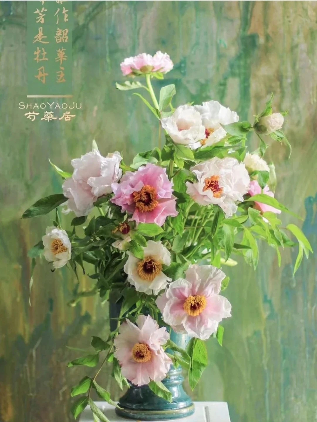 植库‖跟随仙气飘飘的油牡丹，追寻春天的步伐